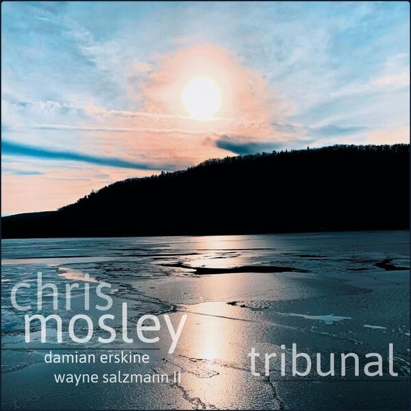 Cover art for Tribunal